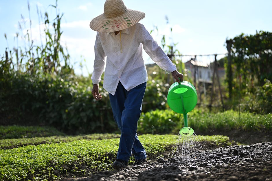 How can sustainable farming practices be more widely adopted?