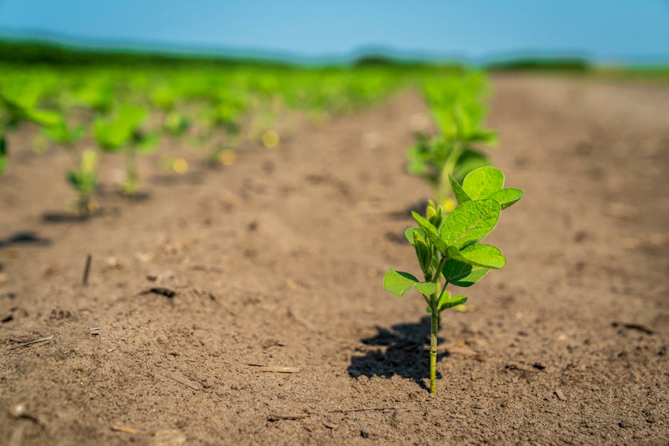 Will new farming techniques ever eliminate hunger?