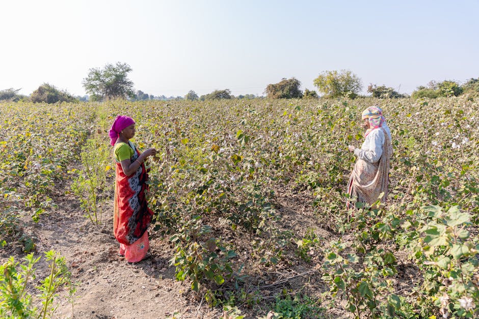 How important is soil health to crop yields?