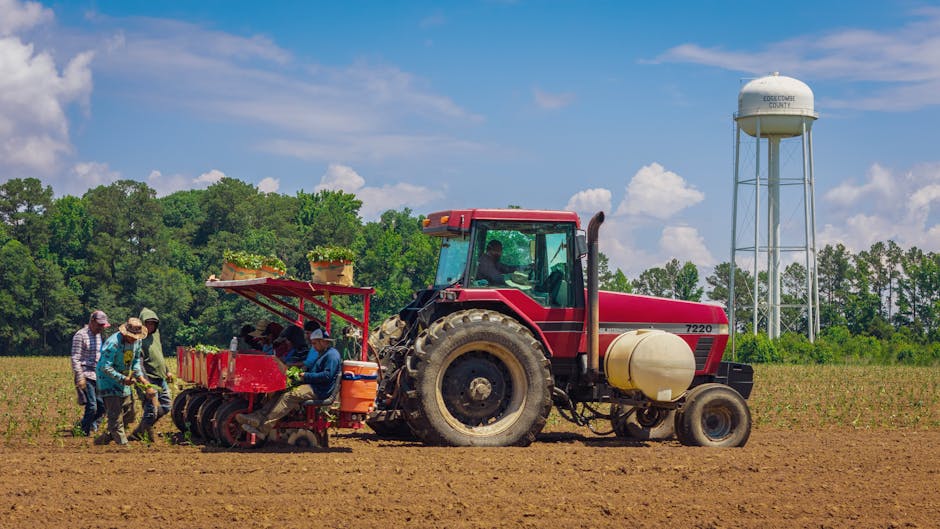 Where do most farmers source their seeds?