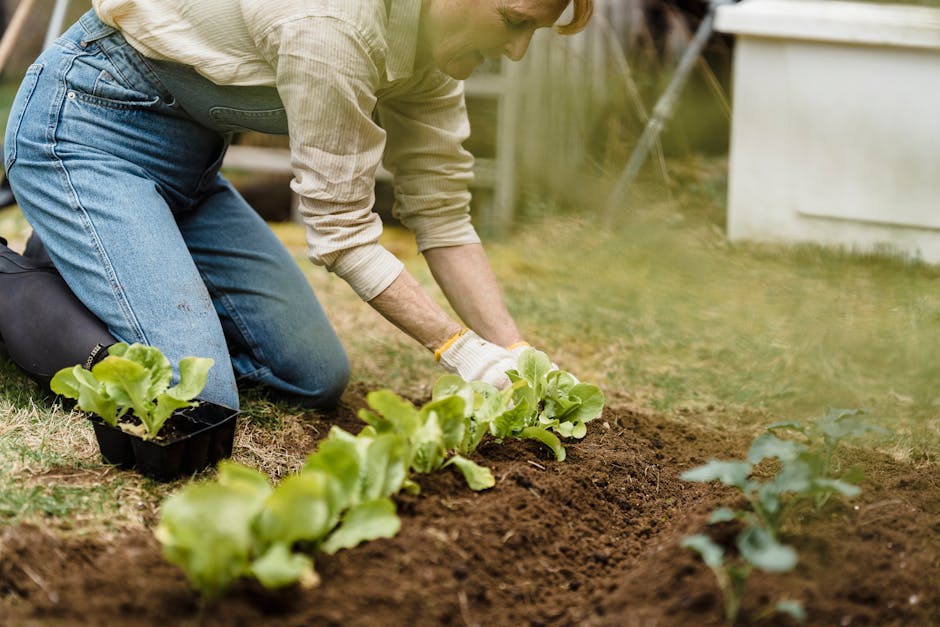 What are the challenges of sustainable farming?