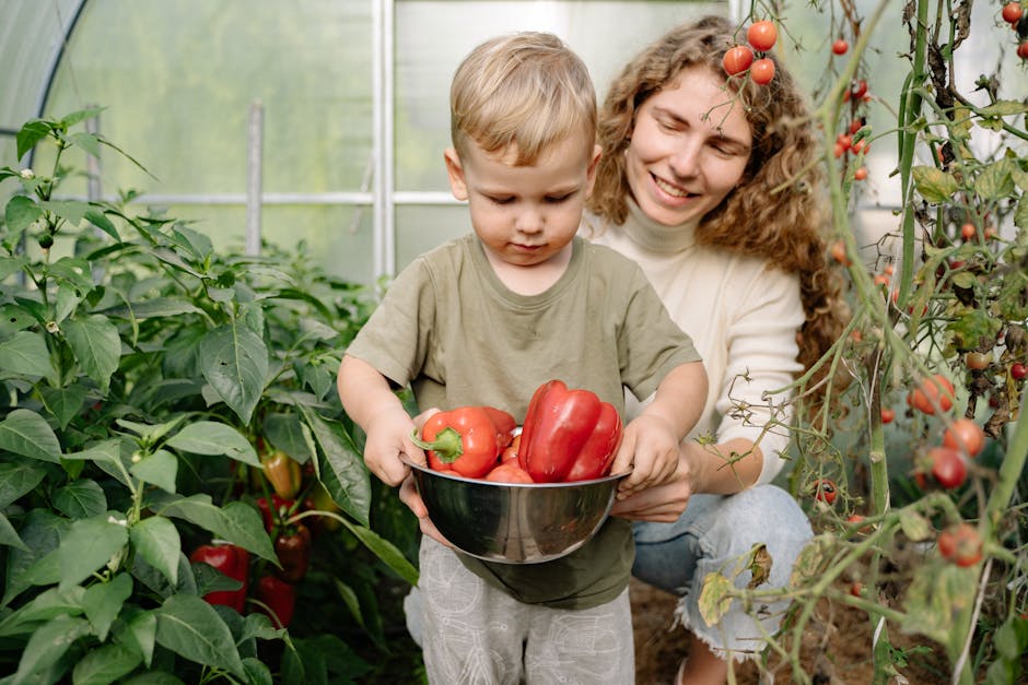 Will climate change impact future harvests?