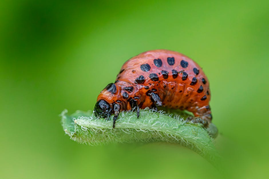 What methods ensure crop pest control without harming the environment?