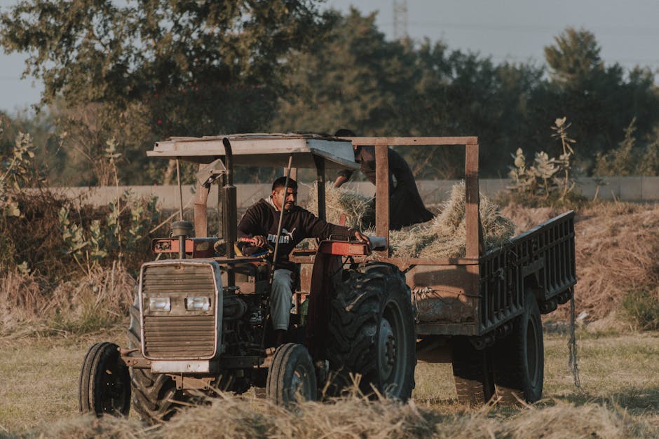 Are there effective strategies for managing farm labor?