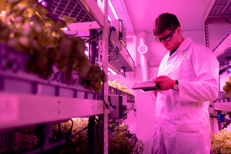 What is the future of vertical farming?