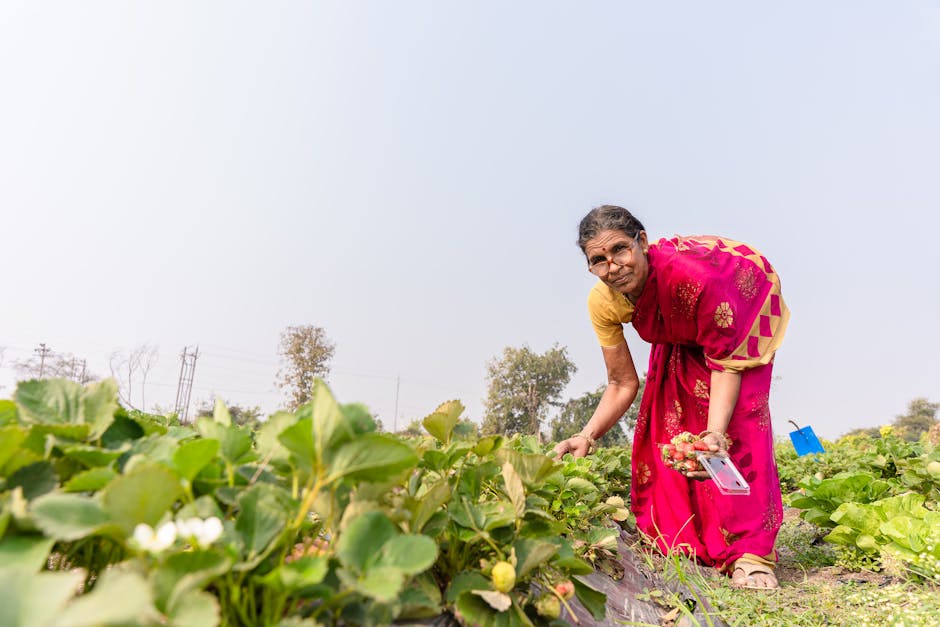 Why is soil health important for agriculture?