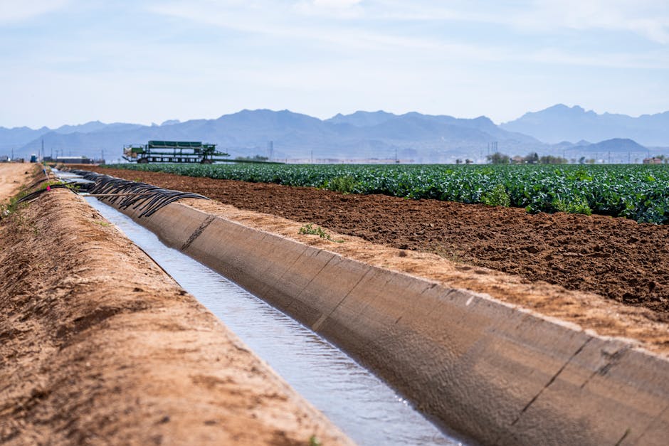 Are there sustainable farming practices for arid regions?