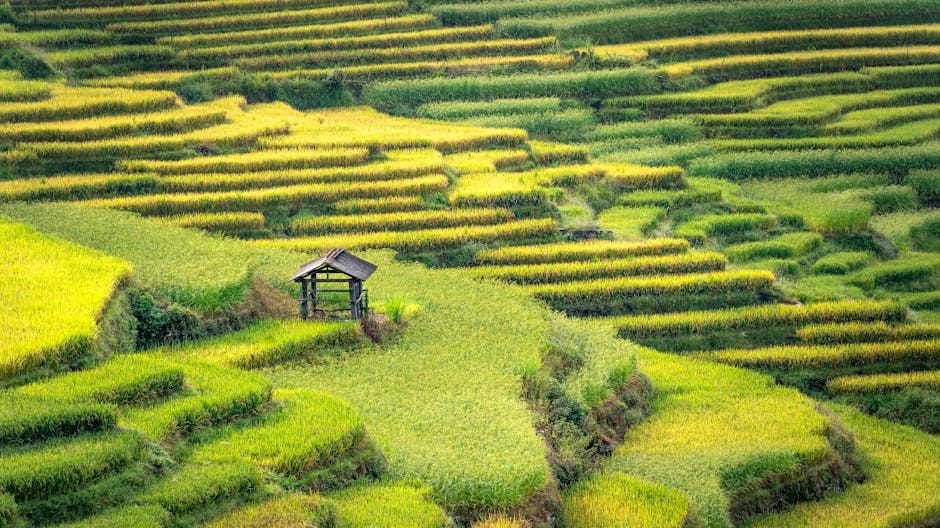 When did modern agricultural techniques begin?