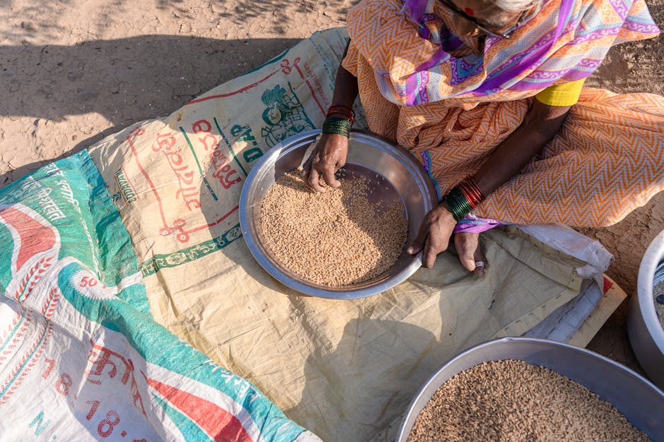 Where do farmers source their seeds and livestock?