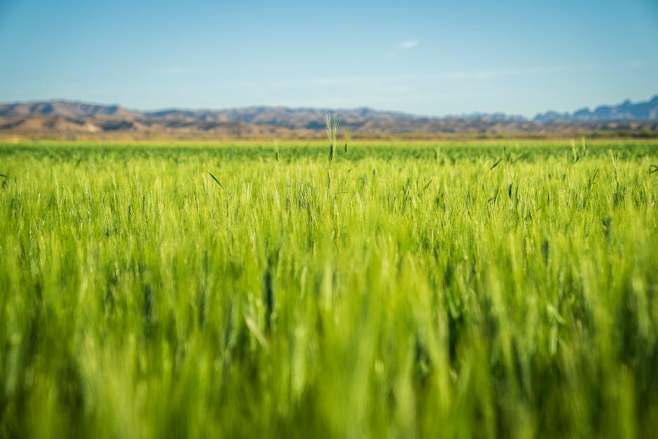 Who are the primary consumers of agricultural products?