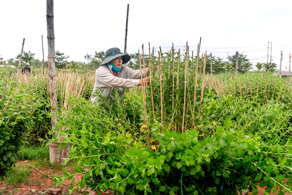 What is the role of government in supporting farmers?