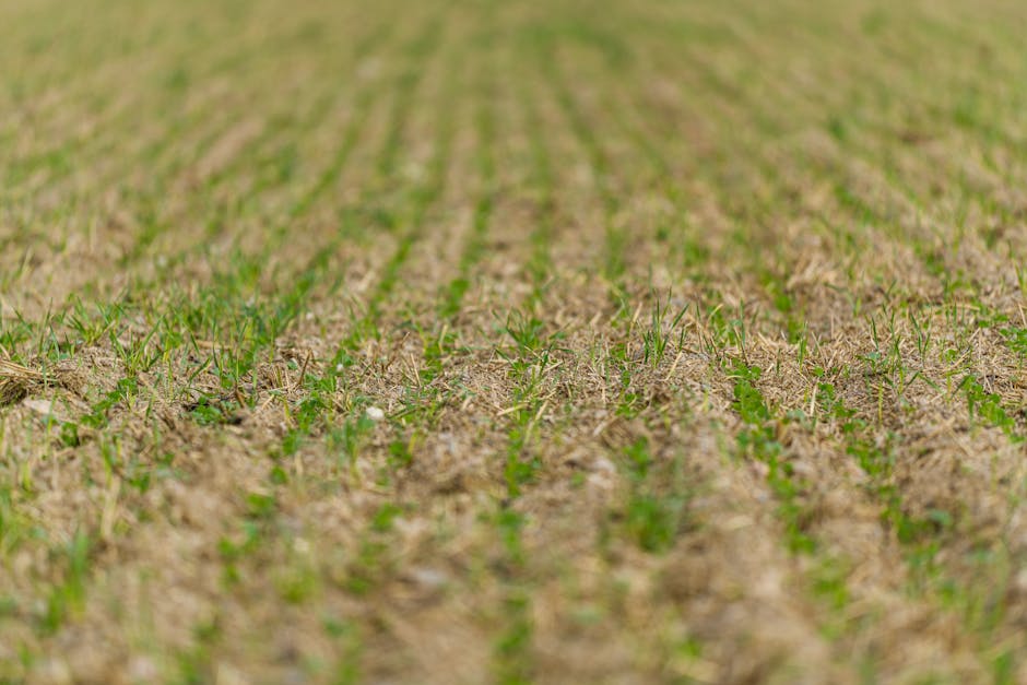 When did the industrialization of farming begin?