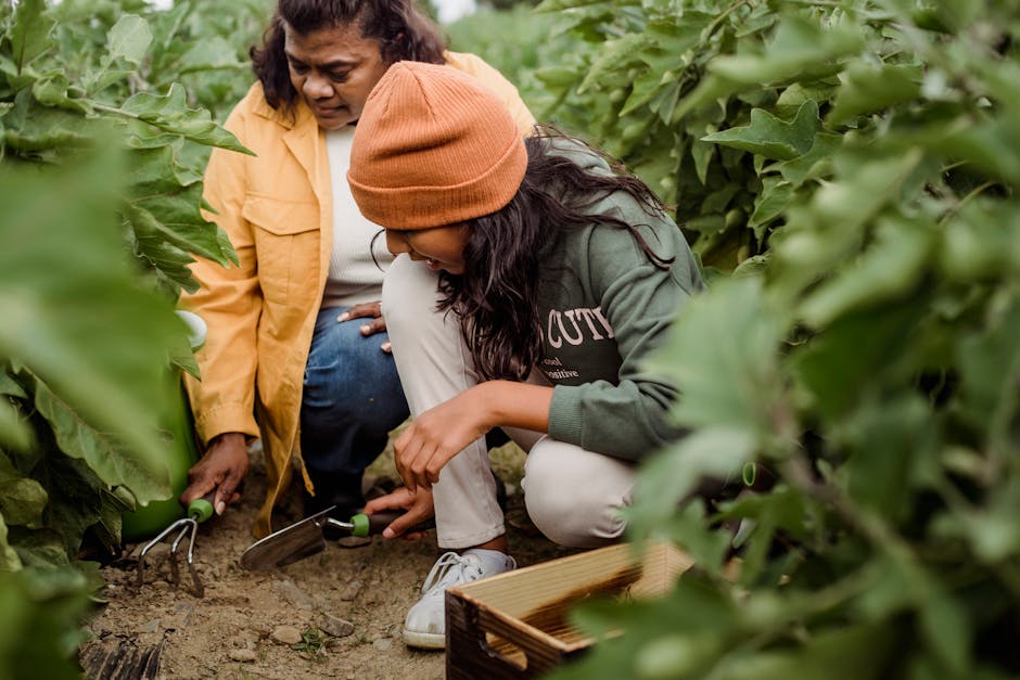 How can farmers reduce waste and increase profits?