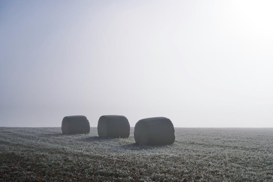 How much land is needed for farming?