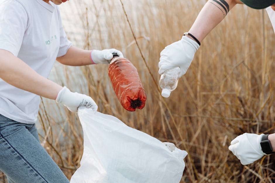 Do humans have a responsibility to nature?