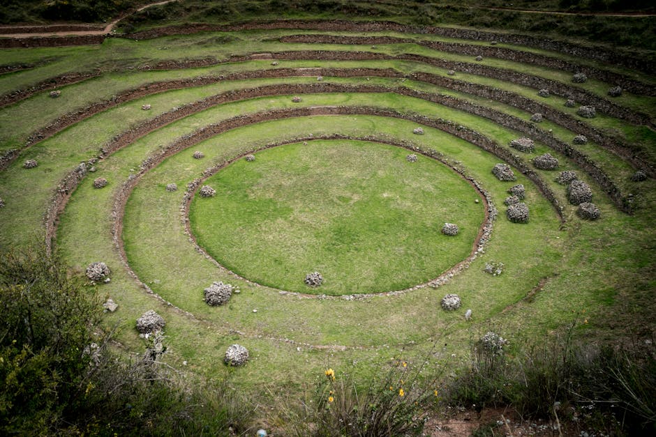 Where did the earliest forms of agriculture develop?