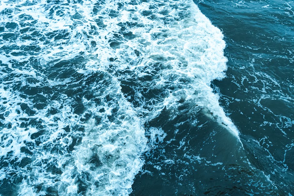 Were there significant changes in ocean currents?