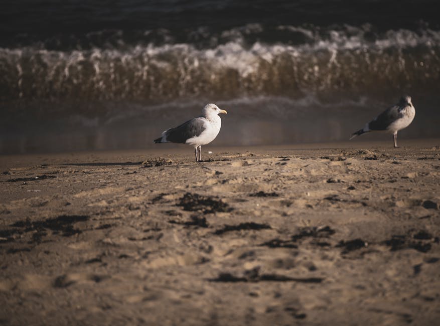 Do marine animals communicate with each other?