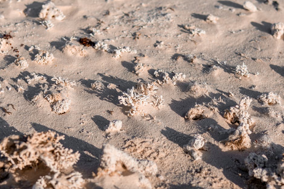 Where do plastics end up in the ocean?