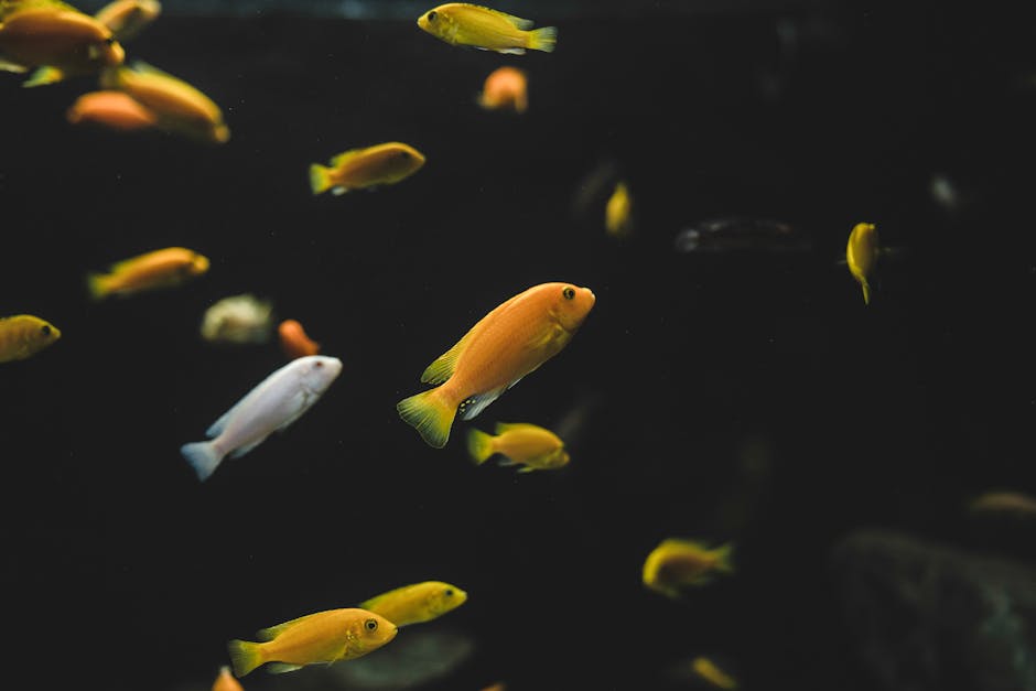 Can marine animals adapt to change?