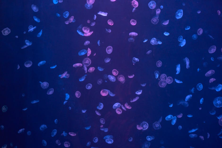 Why do some marine organisms bioluminesce?