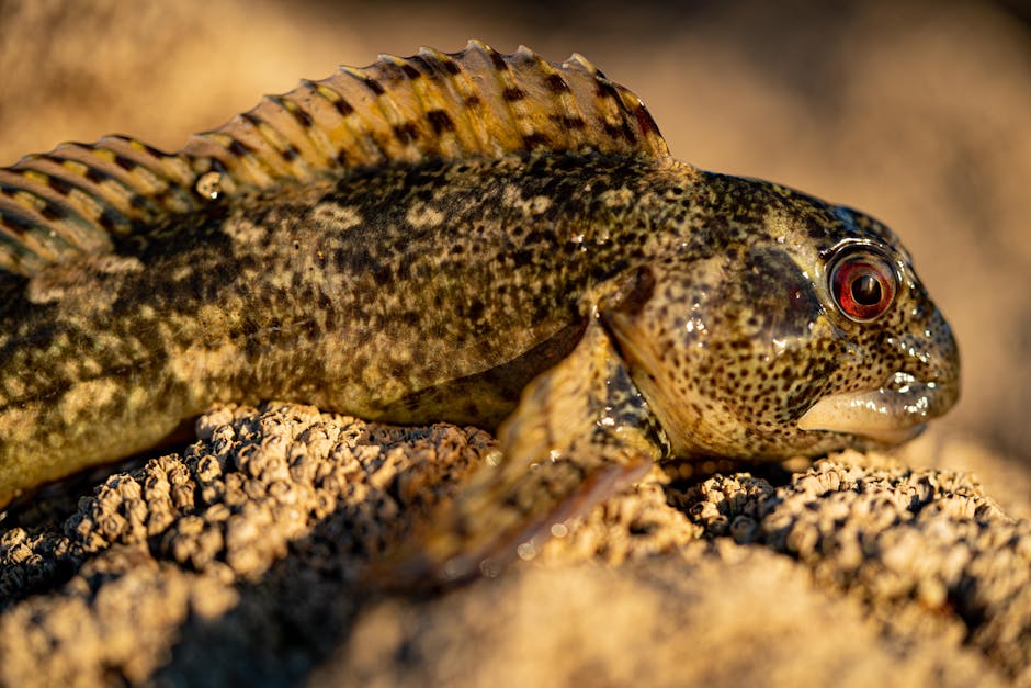 What factors influence marine animal behavior?