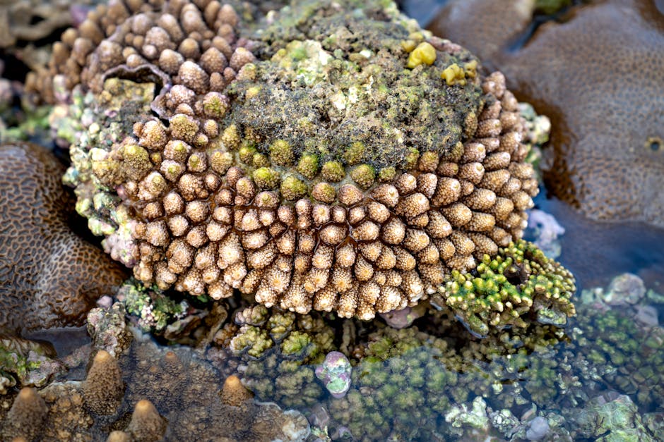 How do different species interact in the sea?