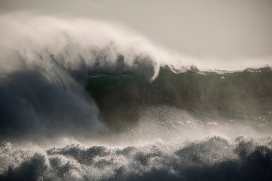 Does the ocean regulate Earth’s climate?