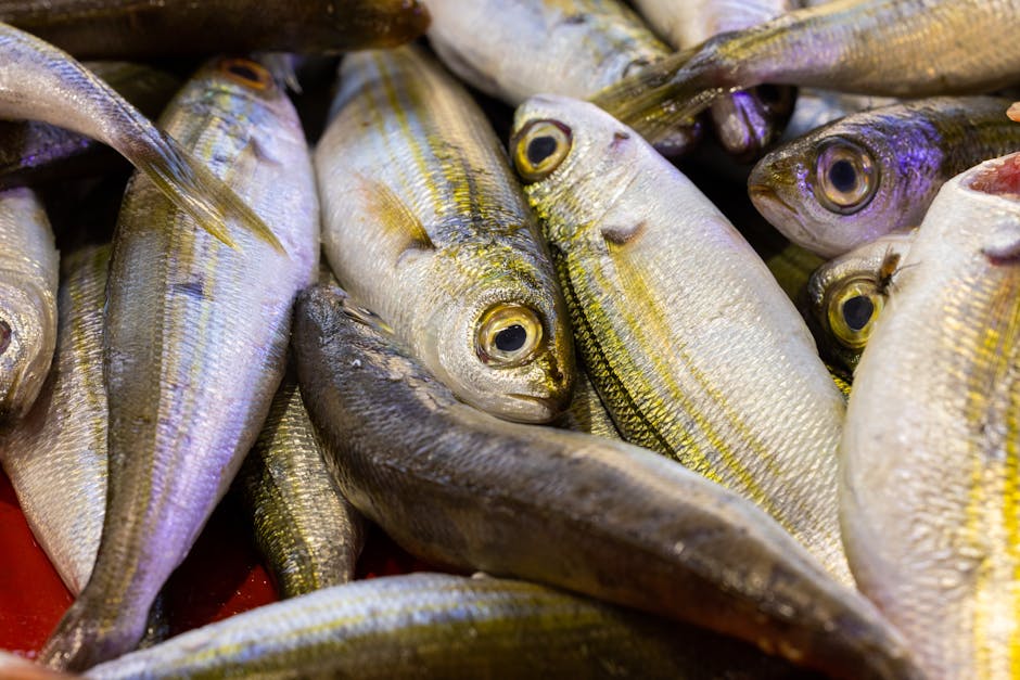 Be phytoplankton crucial to marine food webs?