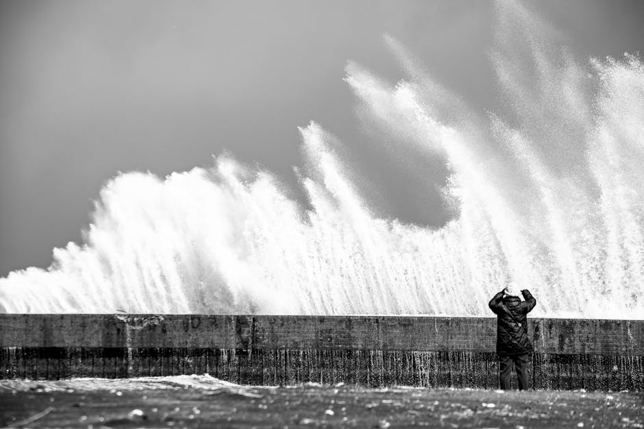 How do humans impact the marine environment?