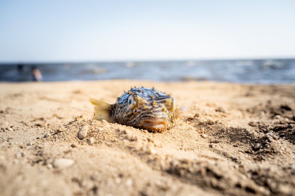 Would ocean acidification affect shellfish populations?