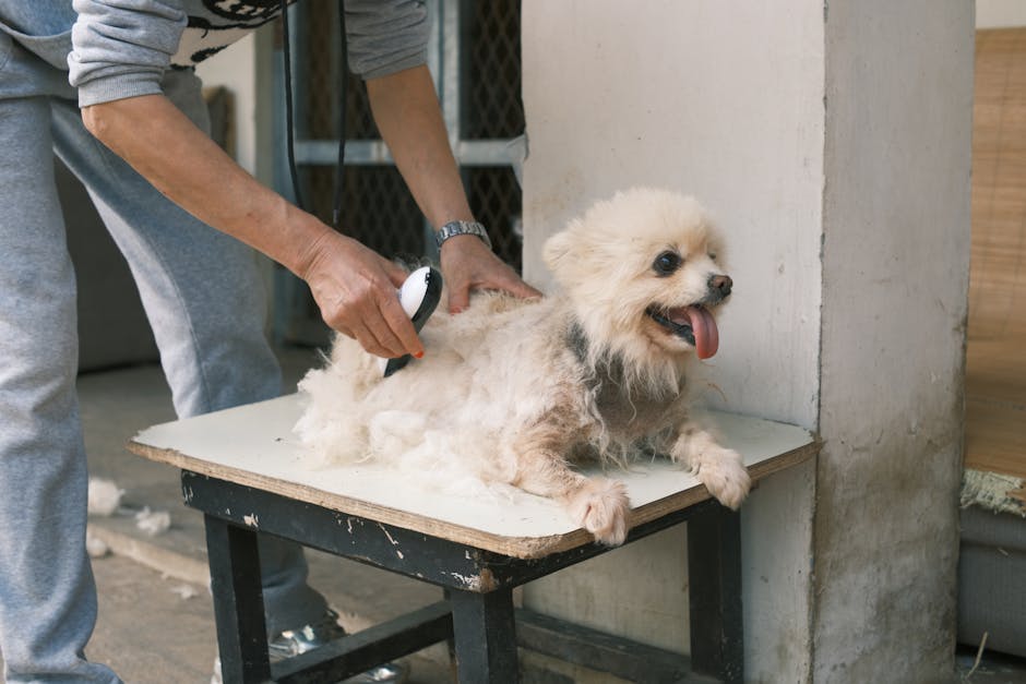 What breeds are known for shedding heavily?