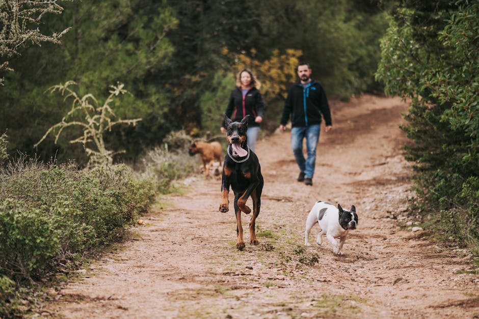 Is pet ownership a good fit for families?