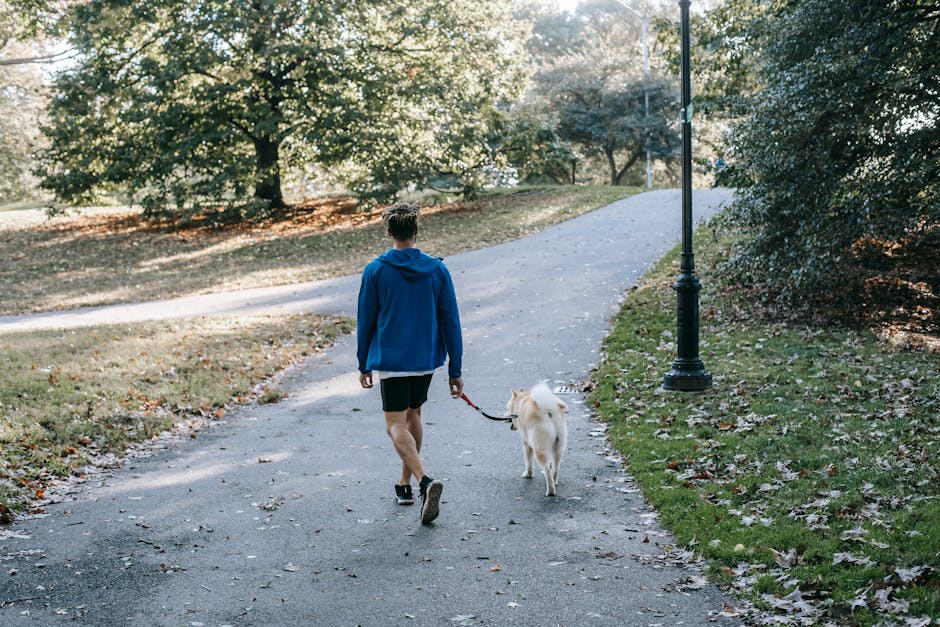 Was there a way to prevent this pet’s anxiety?