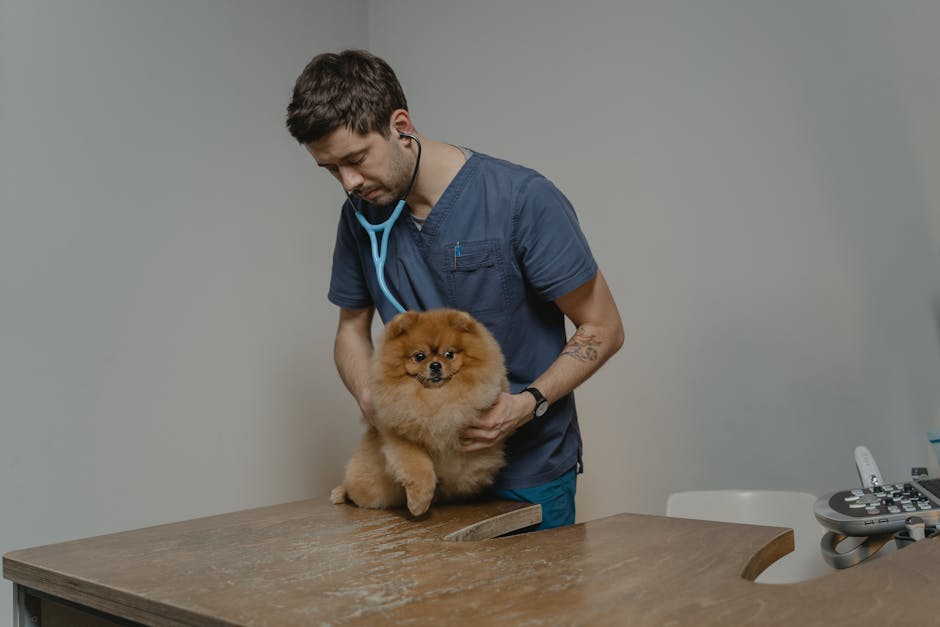 When should I consult a veterinarian?