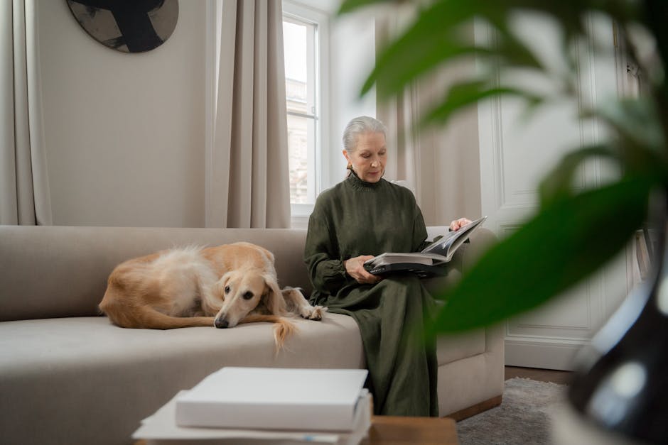 Could a senior pet benefit from a special diet?