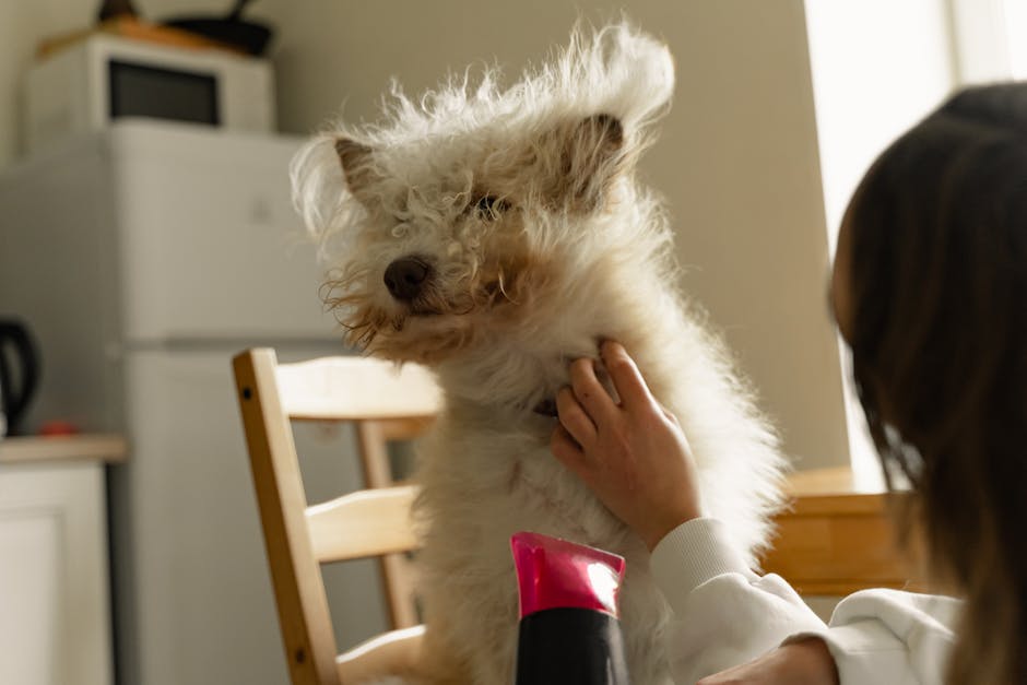 Have you ever dealt with a pet emergency?