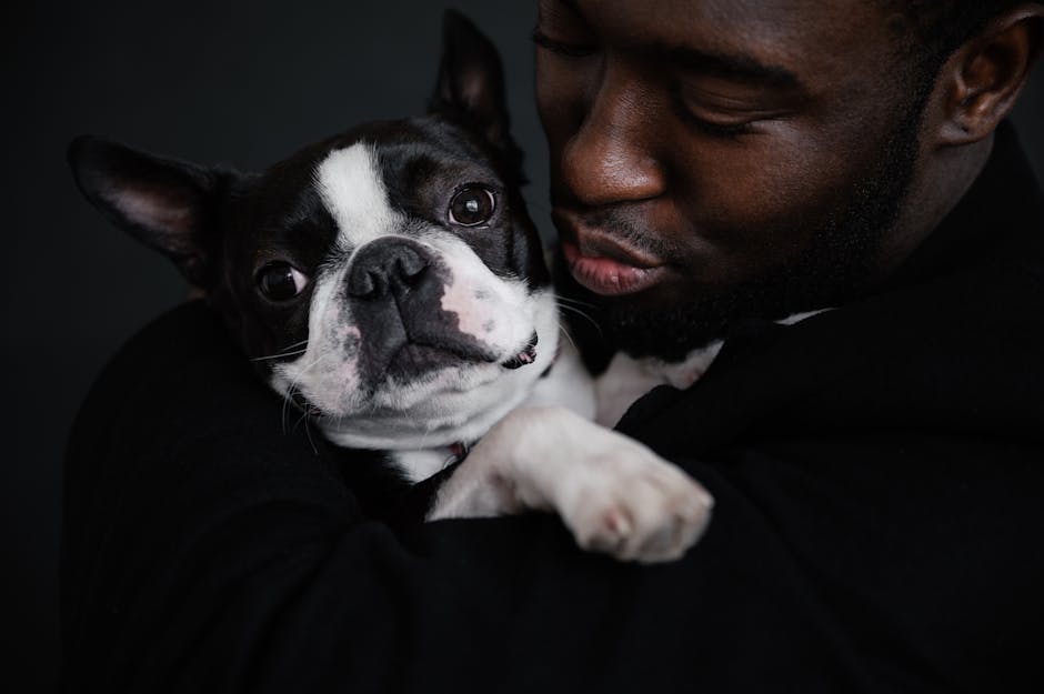 How do you keep a pet entertained indoors?