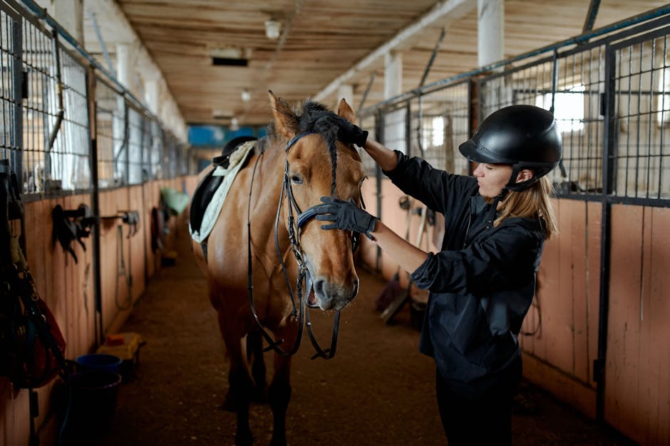 How important is a pet’s mental stimulation?