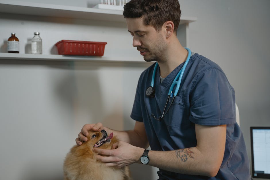 When should I consult a veterinarian for a pet?