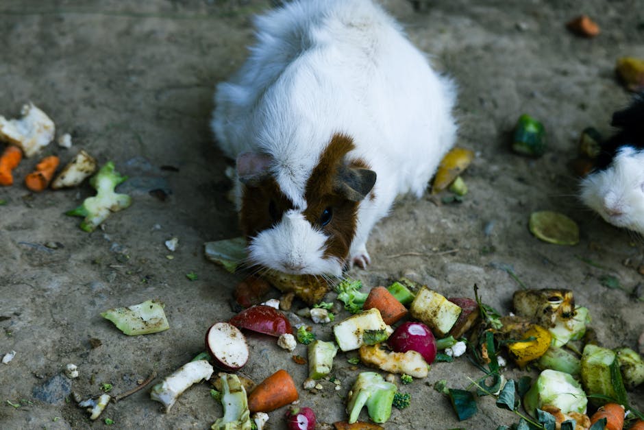 Why is proper nutrition important for pets?