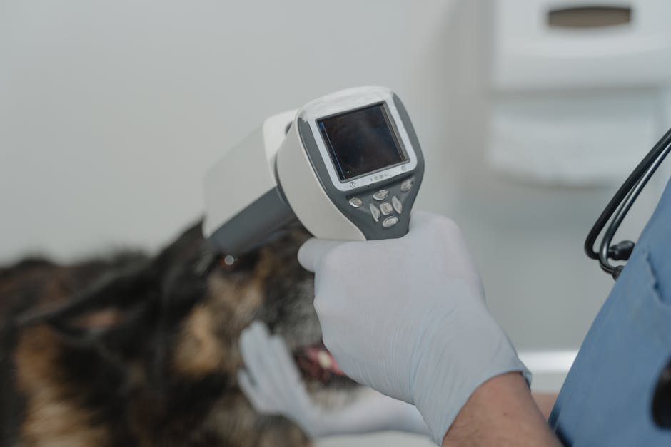 How can I prevent common pet diseases?