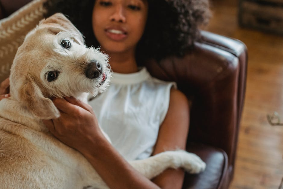 What breeds of dog are known for shedding a lot?