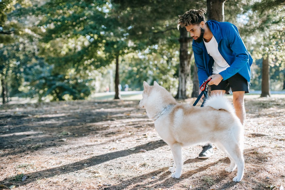 Could a pet’s behavior change with age?