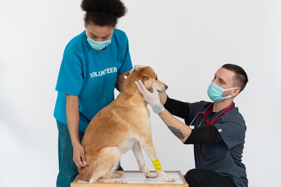 Is regular veterinary checkups important for pets?