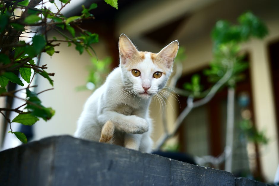 How do animals communicate with each other?