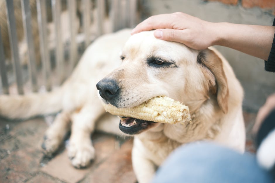 Has your pet ever had unusual eating habits?