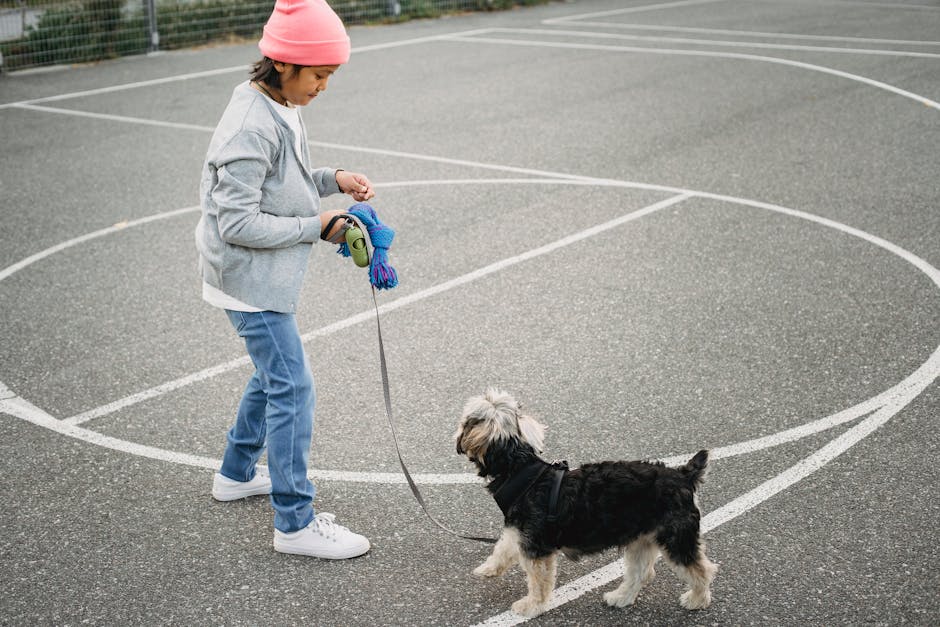 How much exercise does a small dog need daily?