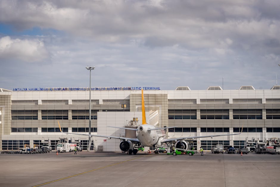 How do airlines handle baggage issues?