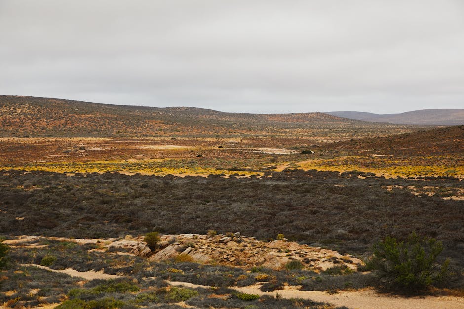 What causes droughts in different regions?